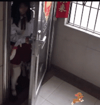 3DM輕松一刻第1468期 女生的肚子這么神奇的嗎？