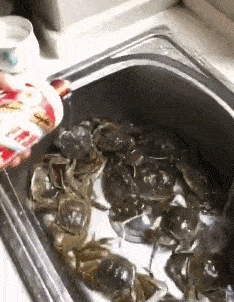 3DM轻松一刻第1470期 美女这腿真是长得要命啊！