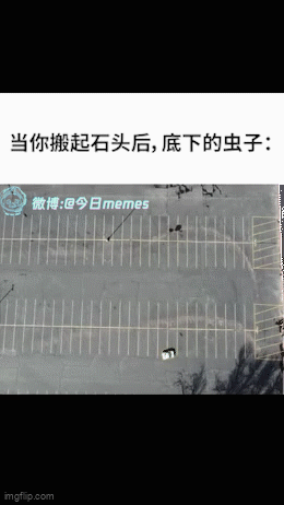3DM轻松一刻第1470期 美女这腿真是长得要命啊！