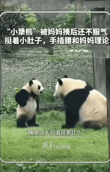 3DM轻松一刻第1470期 美女这腿真是长得要命啊！