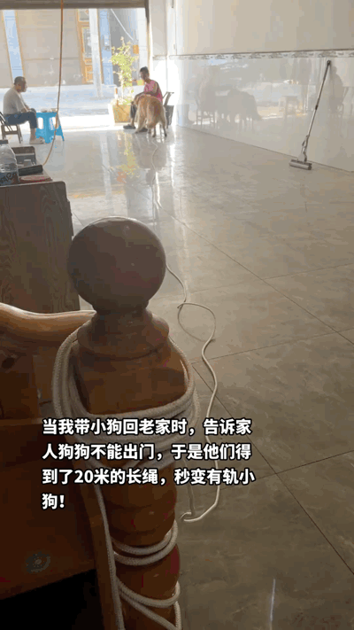 3DM輕松一刻第1487期 夫妻合璧天下無敵眼疾手快