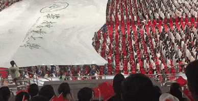 周五福利囧圖云飛系列 美女穿了泳裝為何還穿黑絲