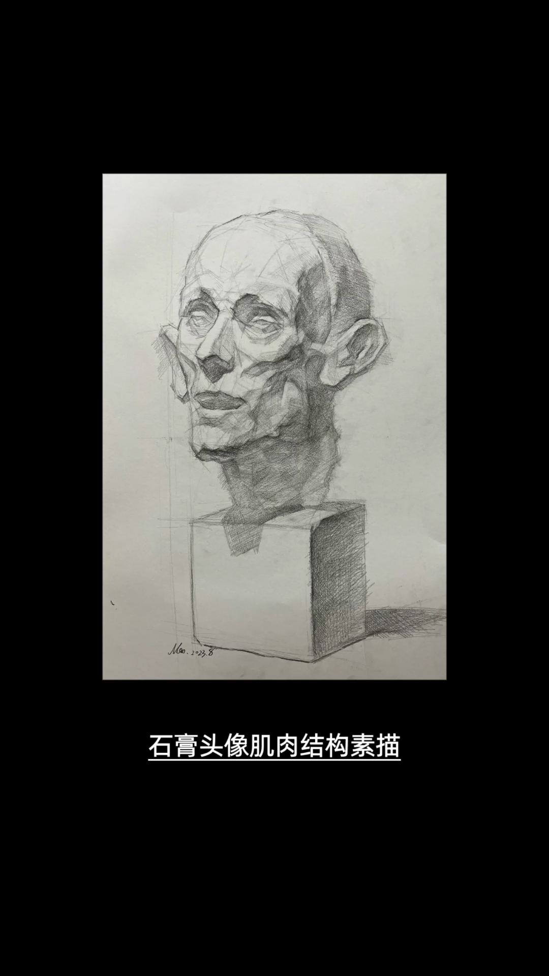 石膏头像肌肉结构素描