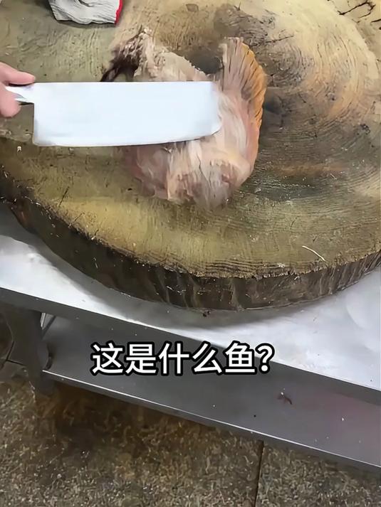 分享13种长相奇特的鱼，一定要看到最后哦