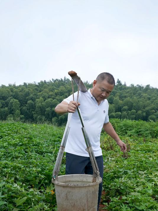 如果父母依旧辛苦,那我们长大的意义又在哪里?