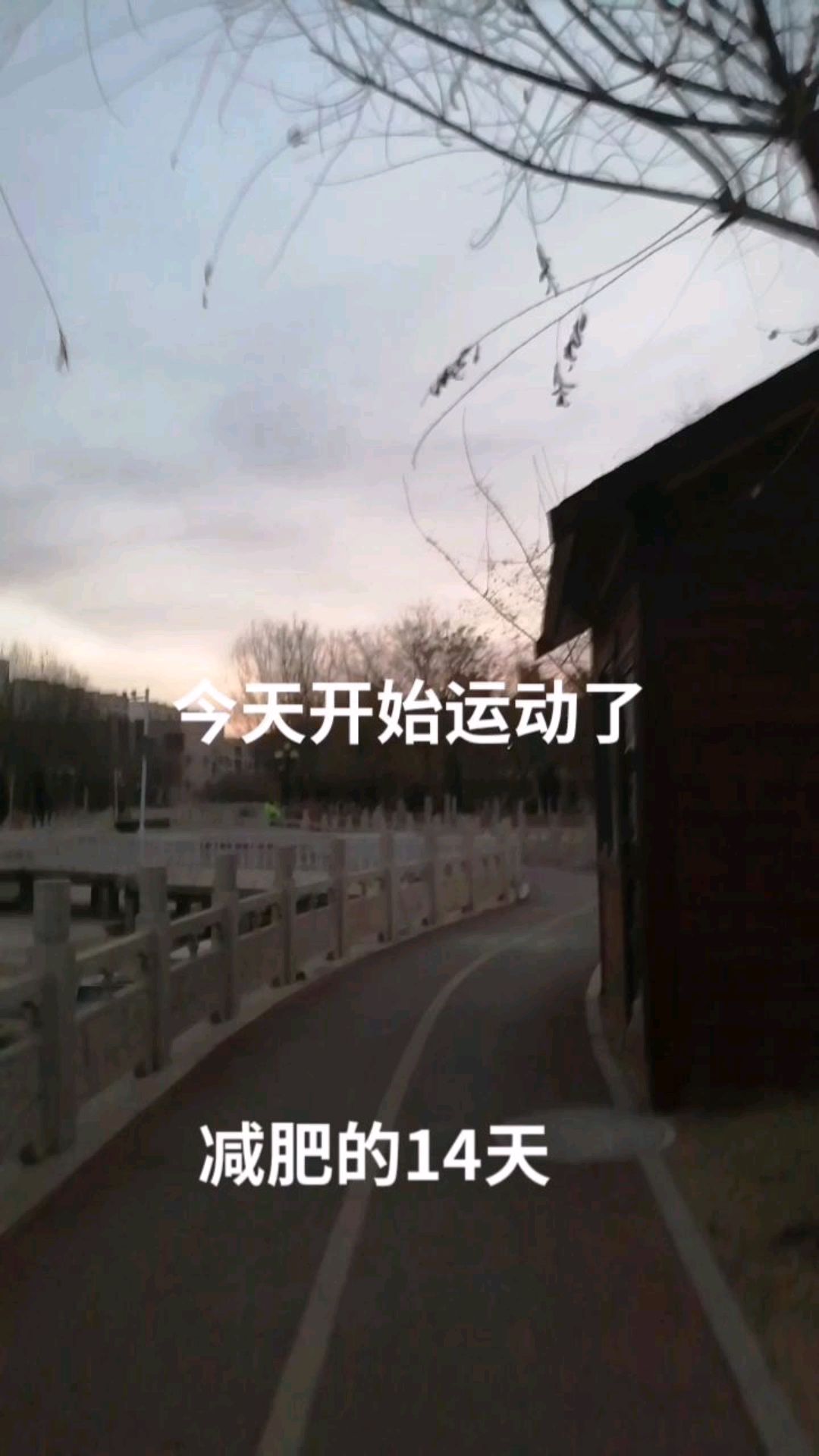 减肥的第14天