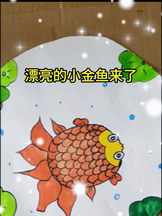 漂亮的小金鱼来了