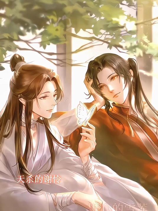 天官赐福 花城谢怜 戚容