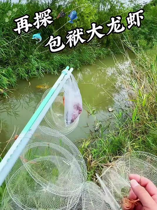 再探包袱大龙虾