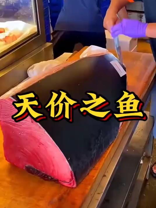 一条鱼竟卖出2.7亿天价?揭秘蓝鳍金枪鱼价格疯狂背后的真相!