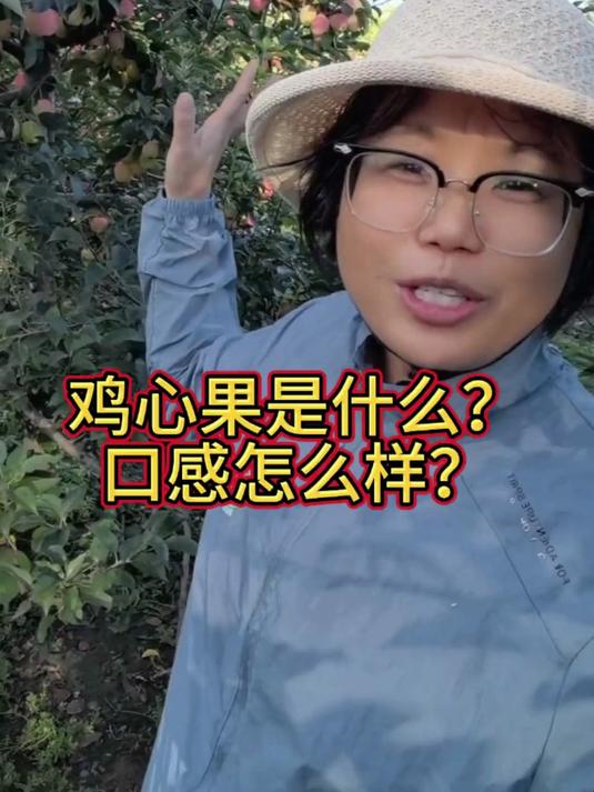 鸡心果口感脆甜带着点酸，风味感很丰富。优质农产品