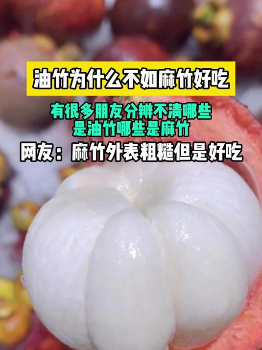 油竹为什么不如麻竹好吃,很多朋友分辨不清哪些是油竹哪些是麻竹