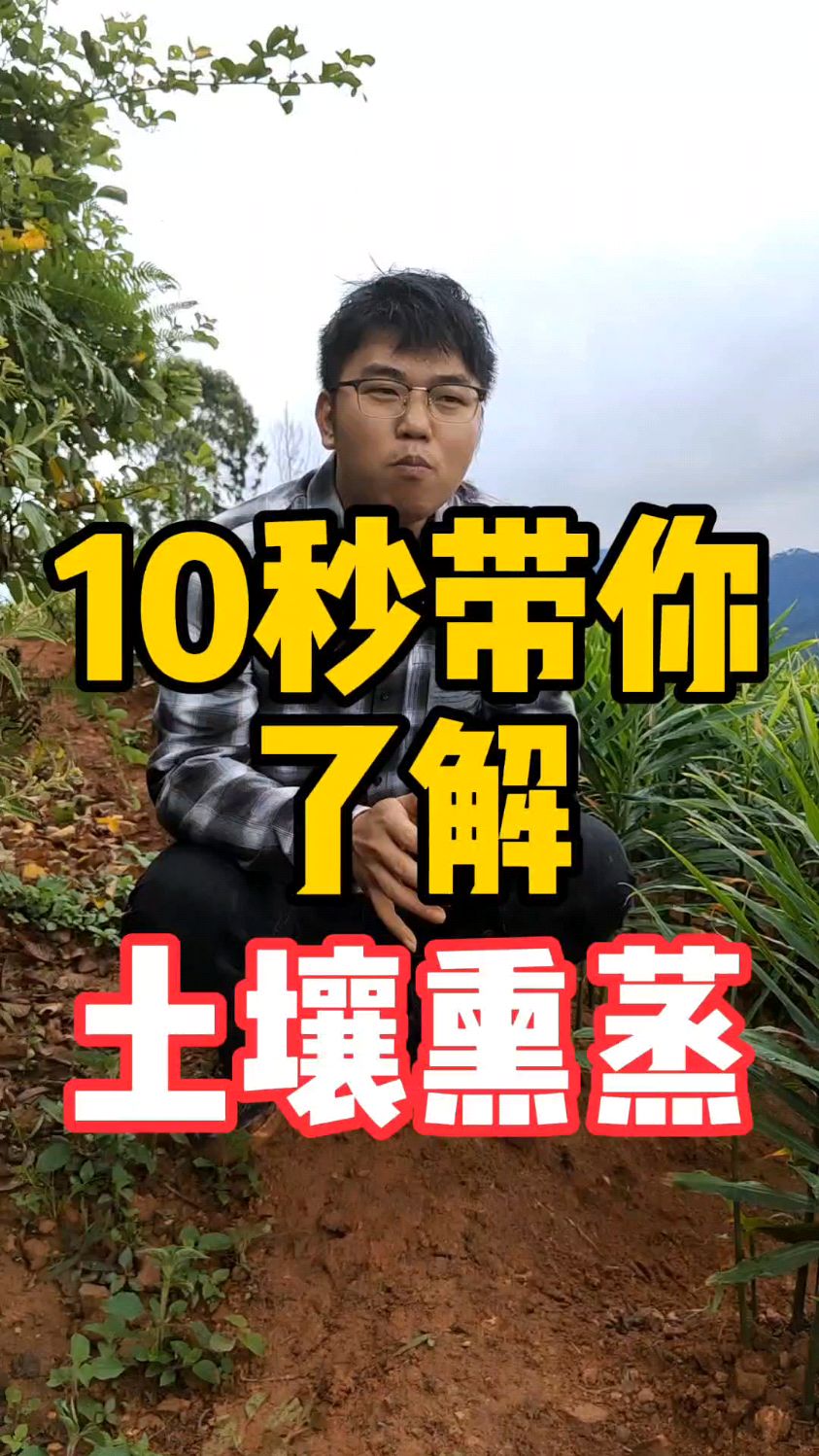 土壤熏蒸的作用是什么