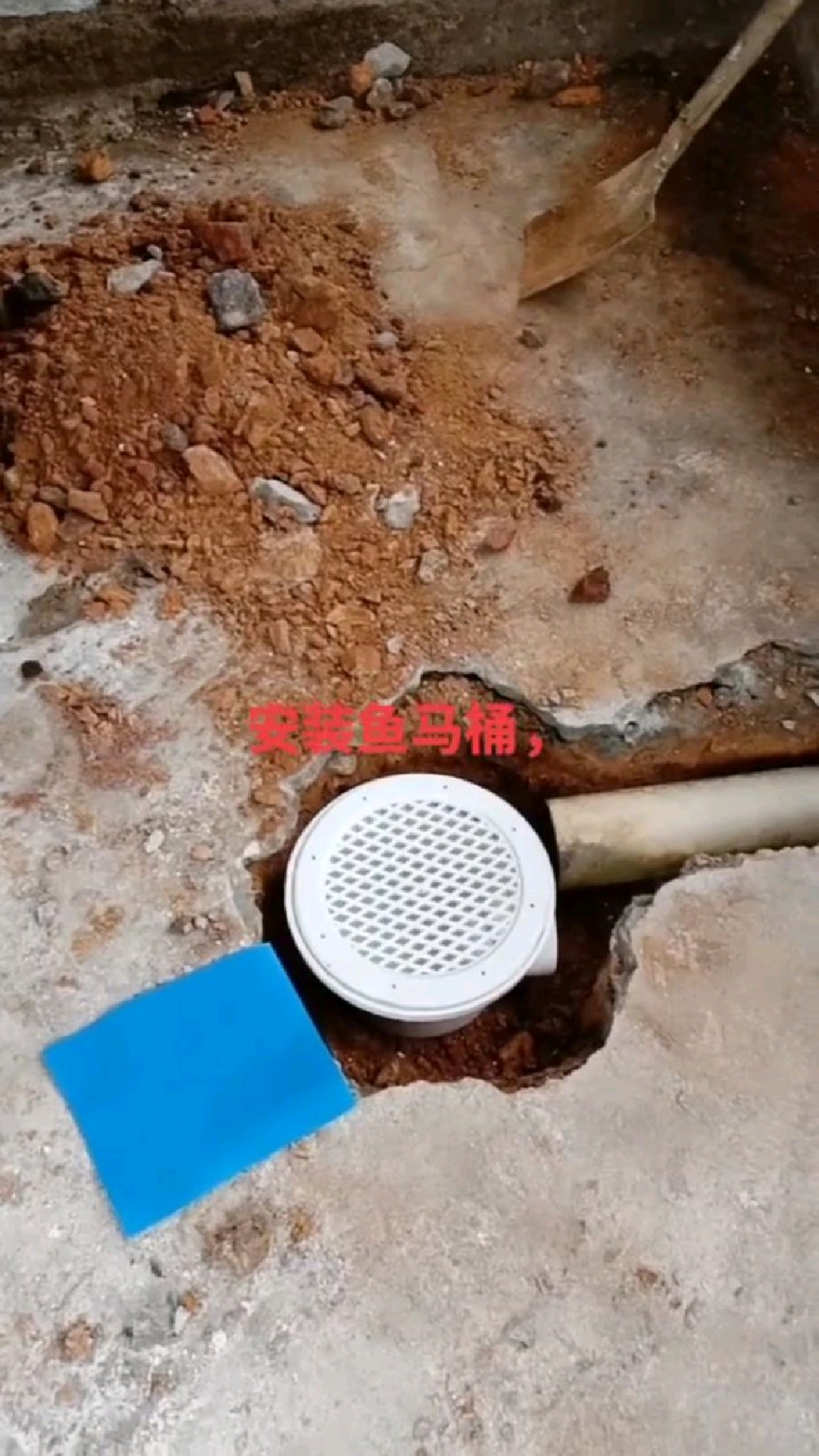 猪棚安装鱼马桶这样方便清洗了
