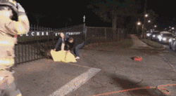 被卡住的鹿在被救了后