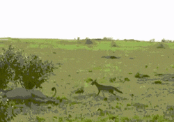 跟朋友玩大冒险输了，真特么刺激