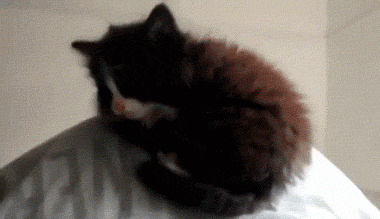 发现了一个新的自然奇观，太神奇了！