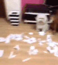 甩锅技术哪家强？