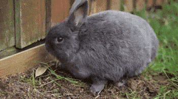 没错，这就是我的工作状态