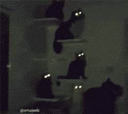 就问一句，你们怕不怕？