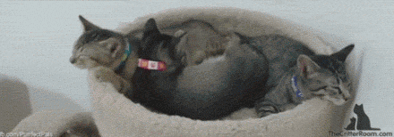 仔细想想，这并不关我的事啊