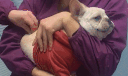 小时候最怕的事情！哈哈哈哈哈好疼