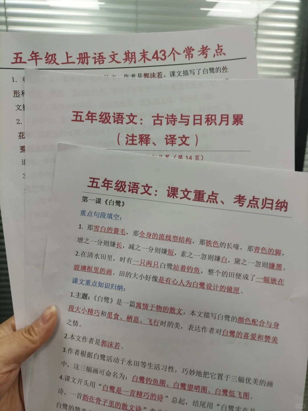 学习规划建议每日问答丨为什么要推动进出口平衡发展