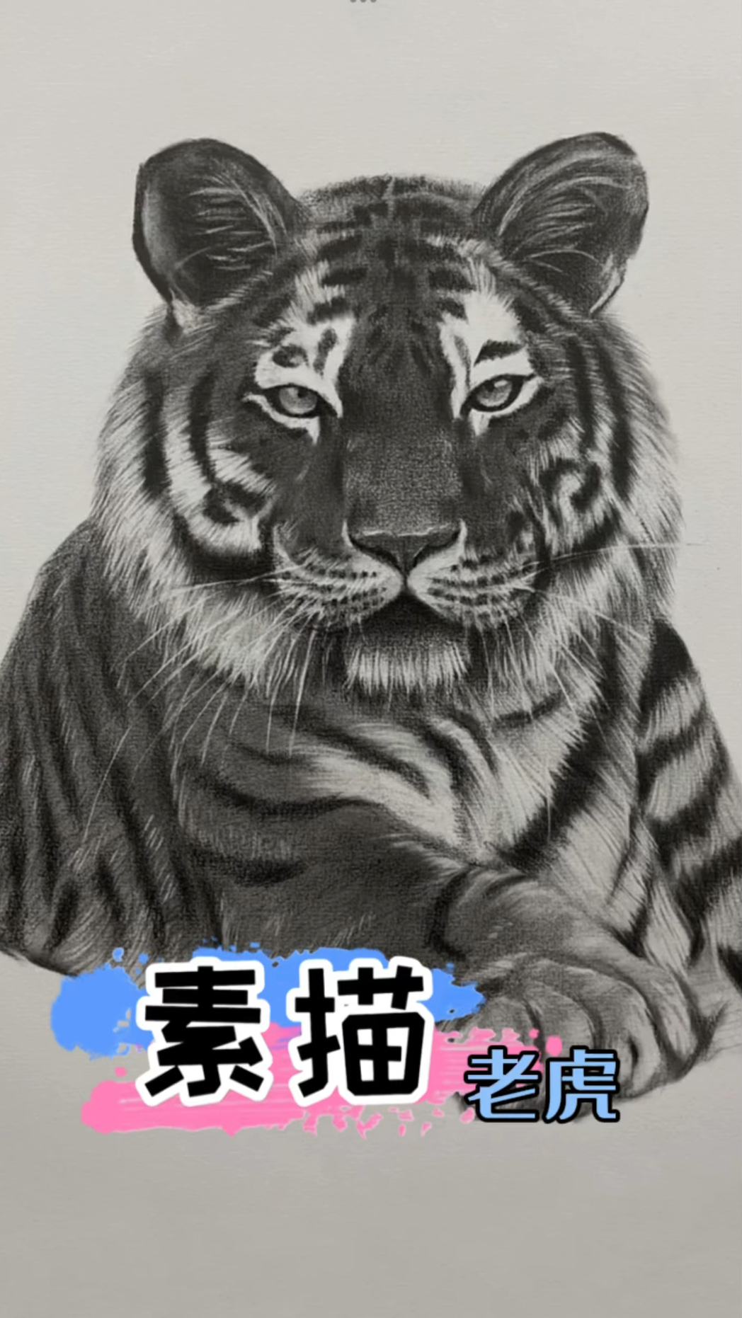 简单易学的老虎画法