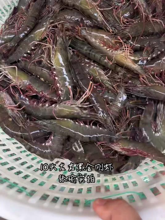 舌尖挚爱,热卖黑虎虾,美味不停歇