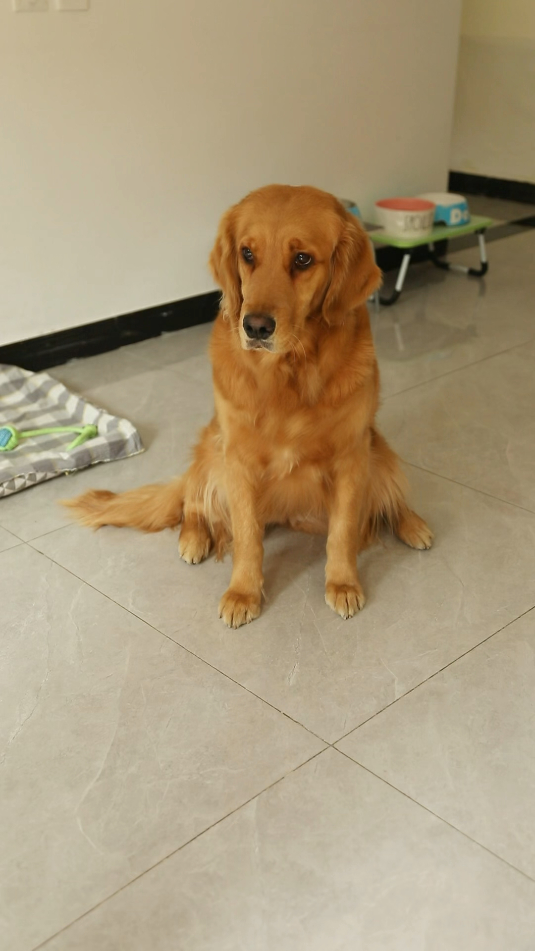 coco误会了奶茶