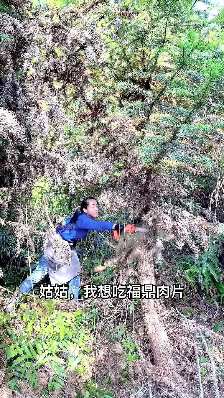 作为闽东人,可以更好的解读福鼎肉片