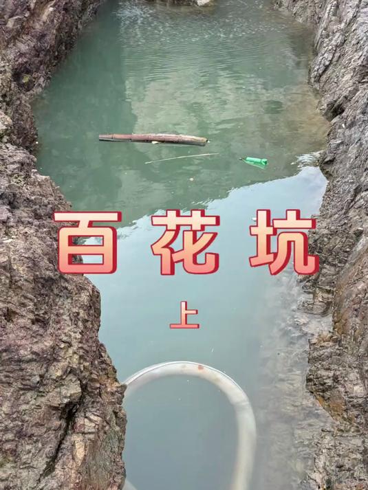 养了三个月的大猫鲨含泪打窝，引来的鱼货阿甘大呼真香（上）