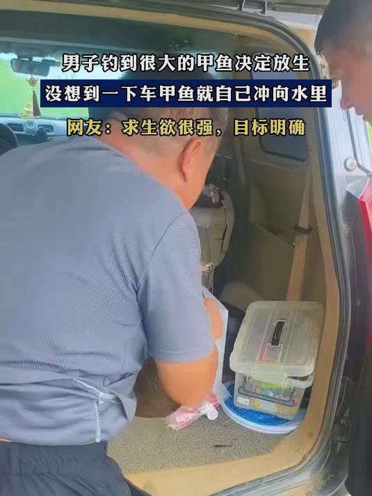 男子钓到很大的甲鱼决定放生,没想到一下车甲鱼就自己冲向水里