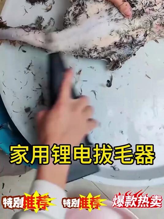 家禽电动拔毛神器鸡毛鸭毛鹅毛手持脱毛机充电拔毛机夹子家用