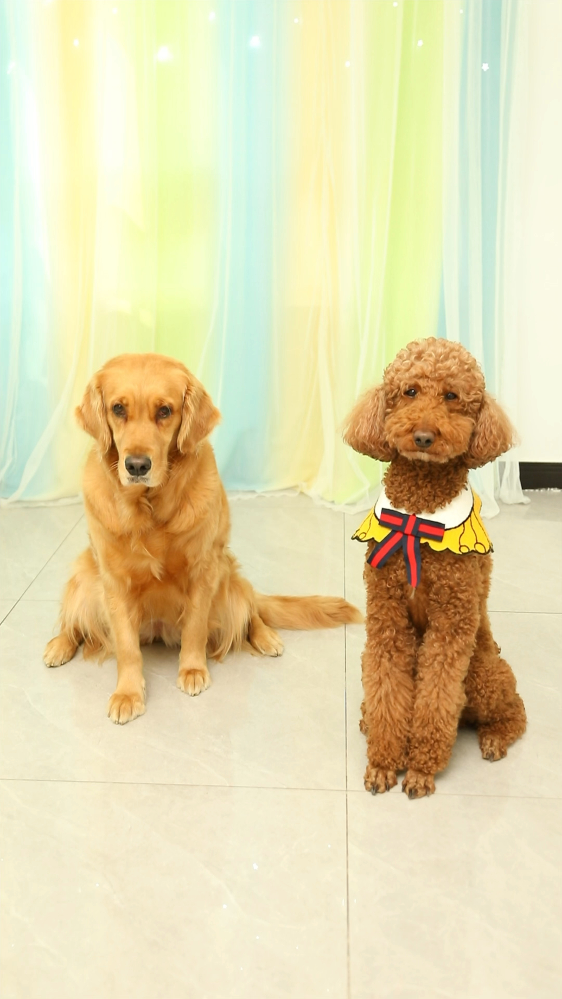 别人偏爱成为孩子童年的阴霾