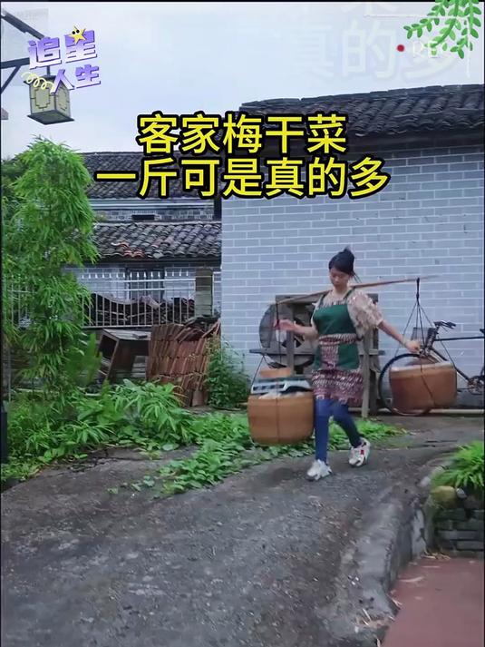 这个三蒸三晒的梅干菜真的太香了用来烧菜炒菜做梅菜扣肉都非常香