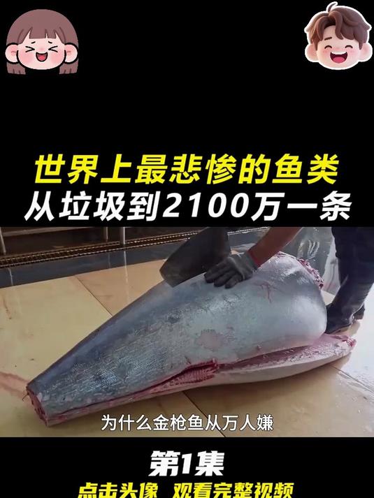 从 “垃圾鱼” 到 2100 万一条!蓝鳍金枪鱼的悲惨逆袭太震撼