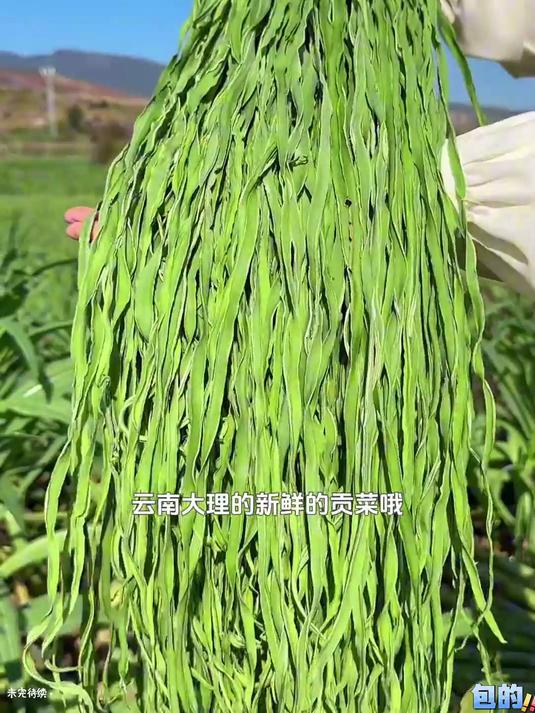 清仓倒计时！贡菜干 7 袋 9.9，手慢真的没了