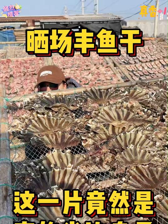 清蒸魔鬼鱼干鲜香软糯下酒下饭都不错