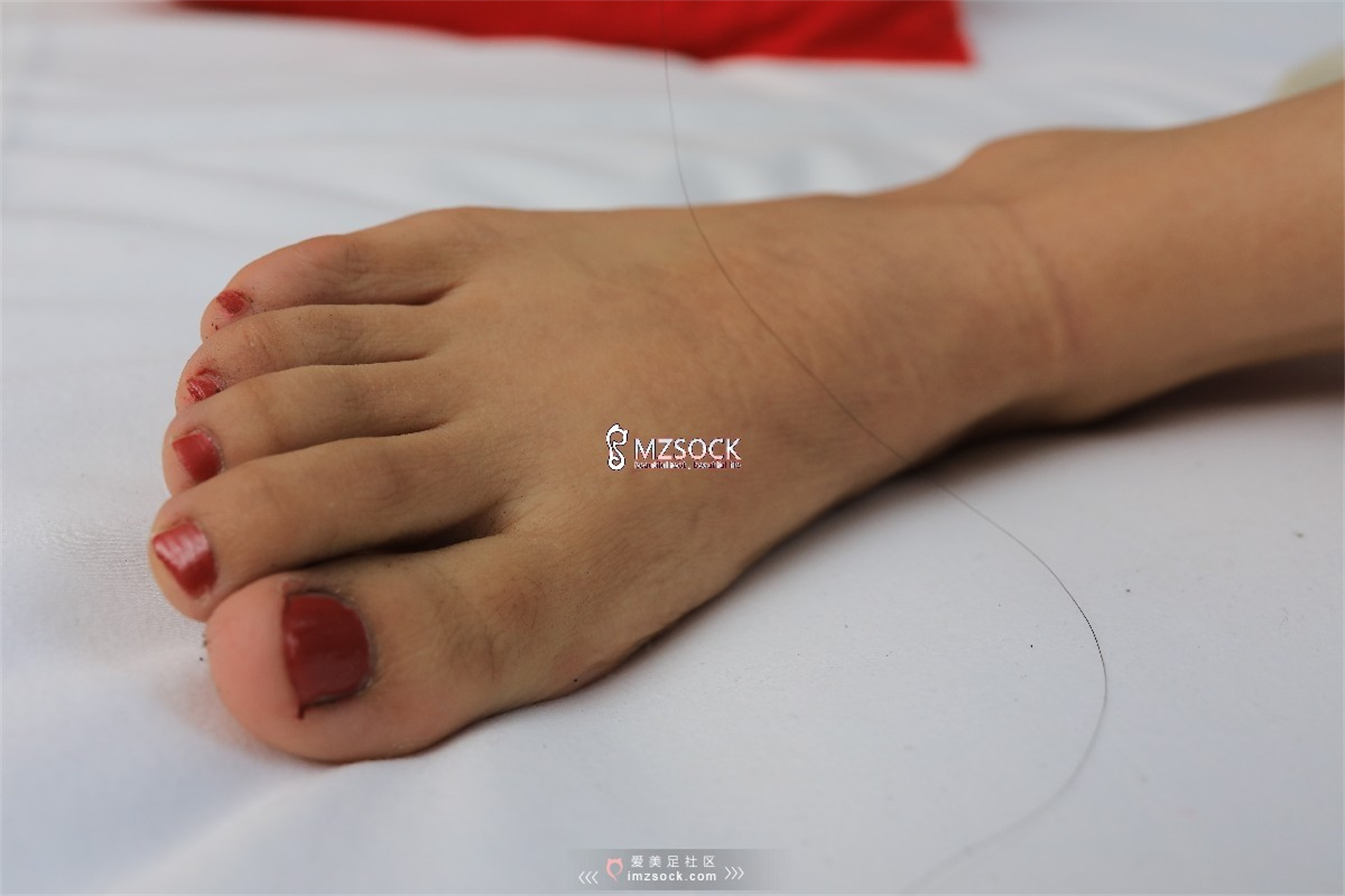 图片[88]-[MZSOCK]爱美足 NO.048 小爽[104P244M]-六色网
