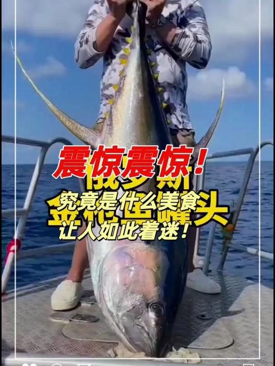 进口品质更放心!油浸熏制金枪鱼,口感紧实不松散!#美食#