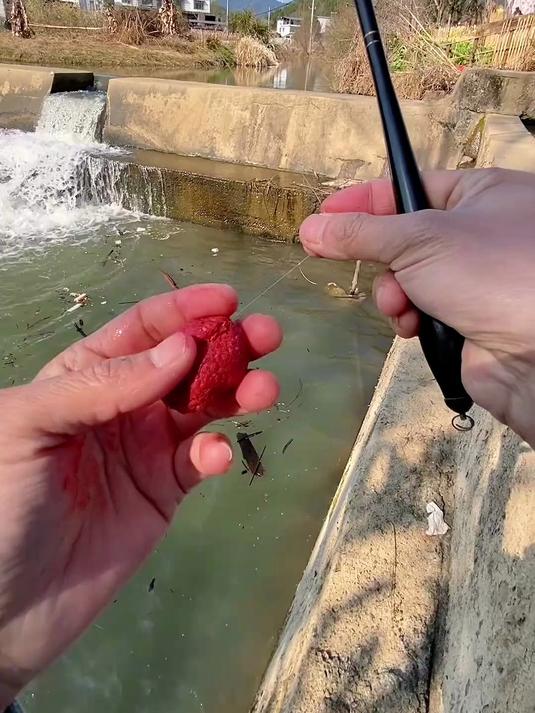江西溪流钓石斑鱼，水坝下果然藏靓货，下竿就中鱼
