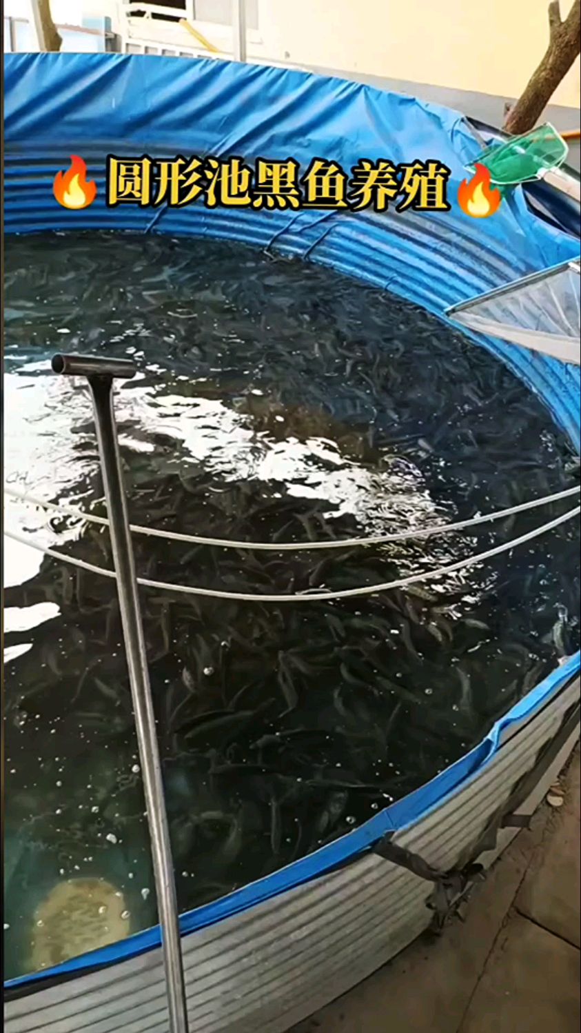 镀锌板养殖鱼池水产养殖鱼池