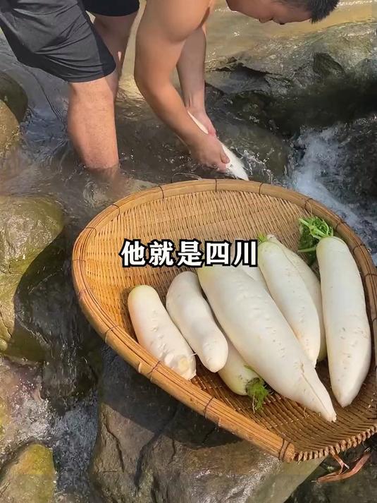 他就是四川的萝卜干，麻辣鲜香，脆嫩爽口