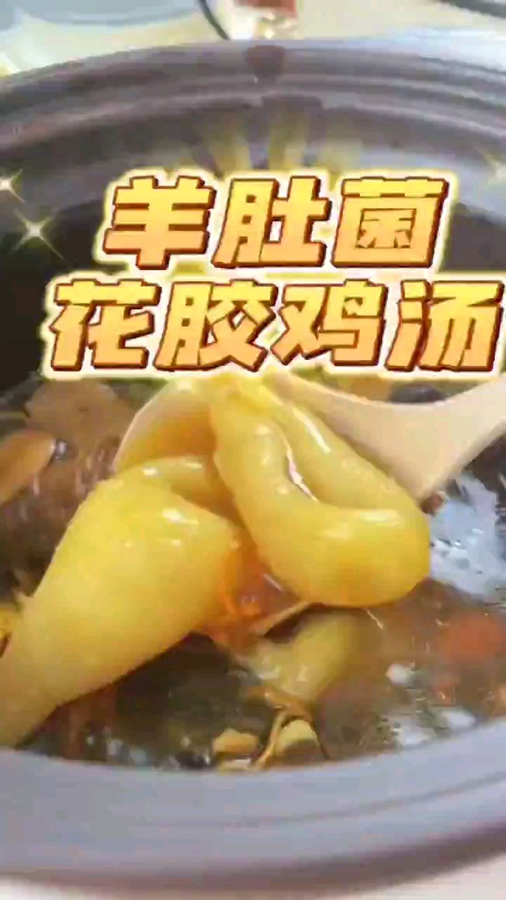 羊肚菌花胶鸡汤做法