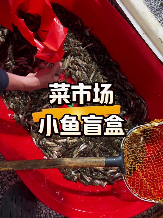 花16块钱在菜市场买鱼回来养,能捡到漏吗?