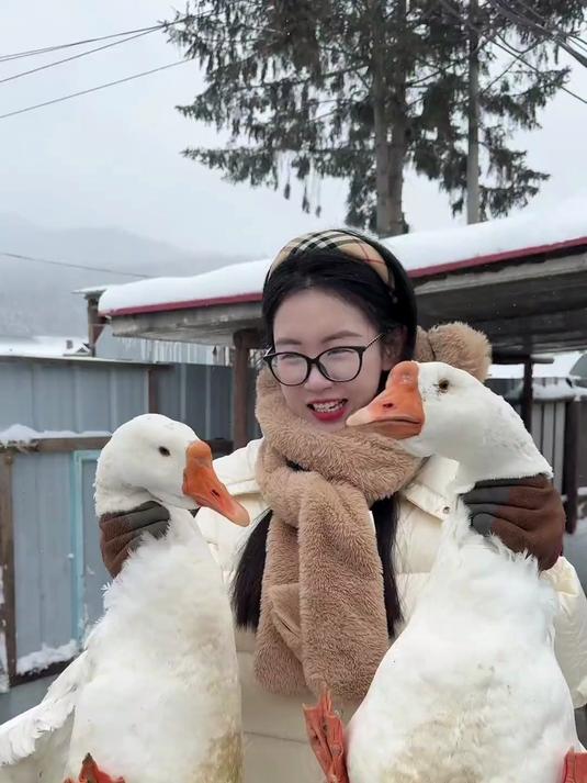落雪似银河铁锅炖大鹅我已备好锅必须整俩鹅