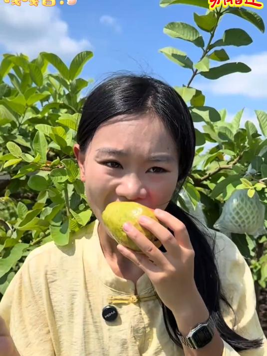 释迦果它的维满C比普通正常水果要高出很多倍软糯香甜非常好吃