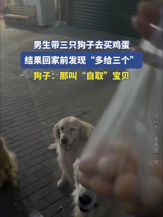 男生带狗买鸡蛋,回家前发现“多给三个”,狗:那叫“自取”宝贝