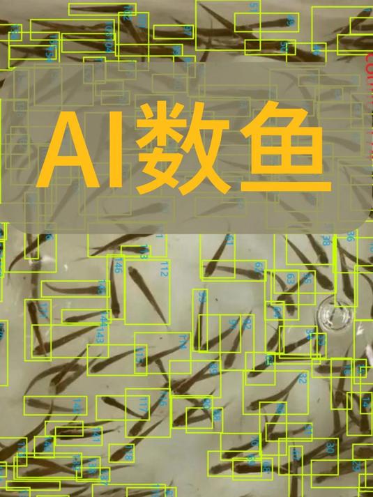 AI数鱼,自动识别,一秒出鱼苗数量